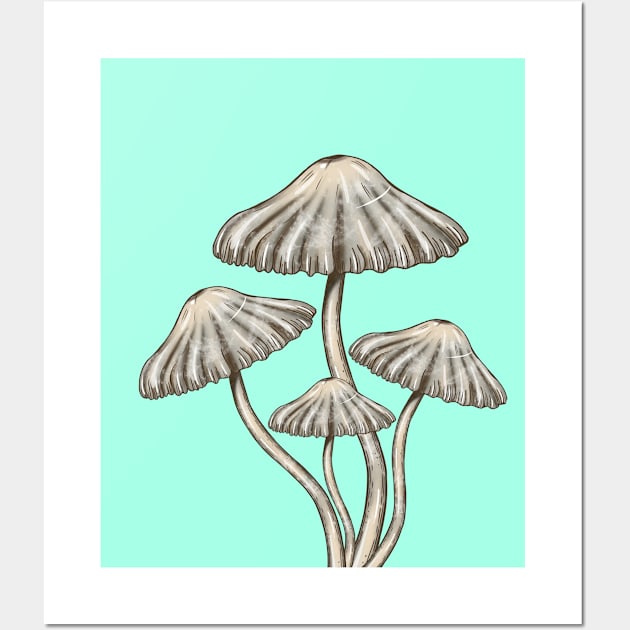 Mushroom Master Toadstools Wall Art by Mushroom Master